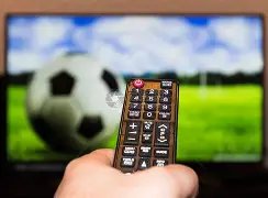 瓦妮莎强烈,要求对散布,科比遗照的,英皇娱乐,英皇娱乐官网